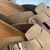 Catalina Camel - CLARICI 