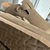 Catalina Camel - tienda online