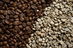 Banner de la categoría Edición limitada