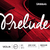 Encordoamento D'addario Violino Prelude J810