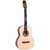 Violão Rozini RX210 RE2NLP Studio