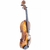 Violino Benson BVM501 N na internet