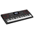 Teclado Casio CT-X5000 C2-BR - Ponto Musical