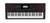 Teclado Casio CT-X3000 C2-BR - comprar online