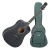 Violão Strinberg SD201HC TOS Folk c/ Capa - comprar online