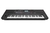 Teclado Roland E-X50 Arranjador - Ponto Musical