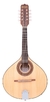Bandolin Rozini RB10EL FLP