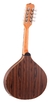 Bandolin Rozini RB10EL FLP - comprar online