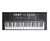Teclado Spring TC-261