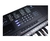Teclado Spring TC-261 - Ponto Musical