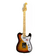 Guitarra SX Telecaster Vintage Hollow Body Ash - STLH 3TS