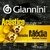 Encordoamento Giannini Acústico Viola Ré - GESVAM