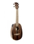 Ukulele Moani Concert Pineapple EPA23EQ