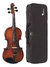 Violino Eagle VE244 na internet