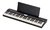 Teclado Roland Go Piano Go 61P na internet
