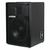 Caixa Datrel CE12 250w Pop 12'' - Ponto Musical