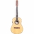 Viola Rozini Clássica RV155 EGCFI