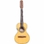 Viola Rozini Cinturada RV154 EGFI