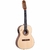 Viola Rozini Signature RV192 ATN Inezita Barroso