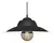 LAMPARA COLGANTE FERROLUX C-136n/t NEGRO CHAPA E-27 32cm en internet