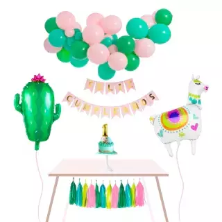 Banner de la categoría temática llama cactus