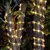 Bulto x 50 mangueras LED de 10 mts