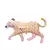 Globo leopardo safari 97x60