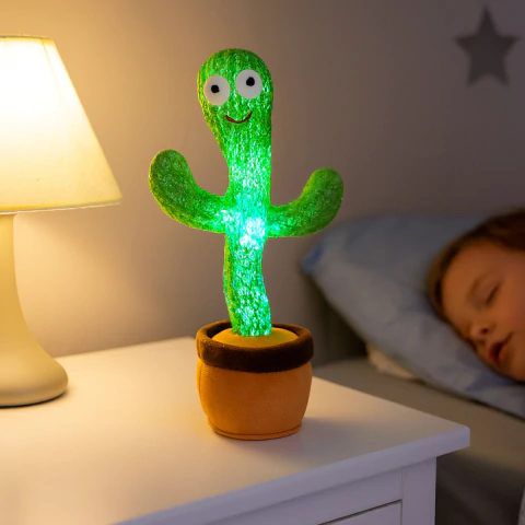 Cactus bailarín - comprar online