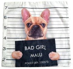 Capa para Almofada Estampa Pets - comprar online
