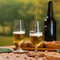 Jogo 6 Taças para Cerveja Colibri Cristal Bohemia - 380ml - loja online