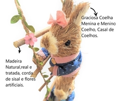 Casal de Coelhos Subindo Escada - 55cm - loja online