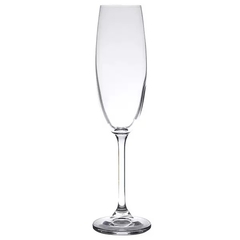 Jogo 6 Taças para Champanhe Colibri/Gastro 220ml - Cristal Bohemia - loja online