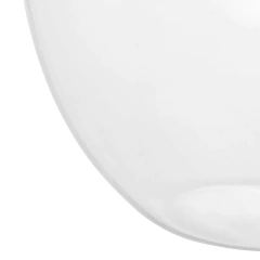 Decanter Swan Wolff - 1L - Design Gallery Santos 