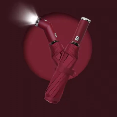 Guarda-Chuva Automático com Lanterna﻿ - Design Gallery Santos 