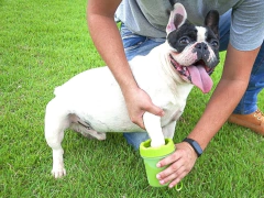 Copo Sanitizante para Patas PETs na internet