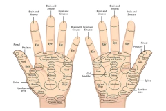 VARITA de ACUPRESIÓN de Onix - tienda online