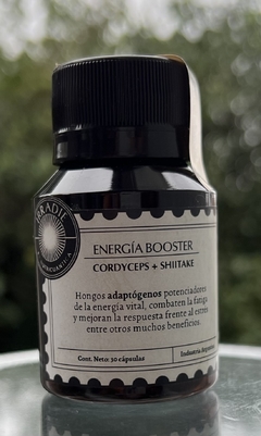 ENERGÍA BOOSTER: Cordyceps + Shiitake (Adaptógenos) - comprar online