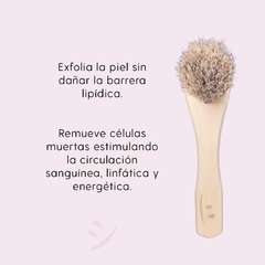 Cepillo facial Circular - Cerdas naturales en internet