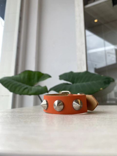 BRAZALETE DOTS (LP80)