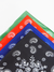 PAÑUELO (TG4755) - comprar online