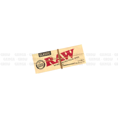 RAW - Sedas Classic Connoisseur 1 1/4 + Pre-Rolled Tips