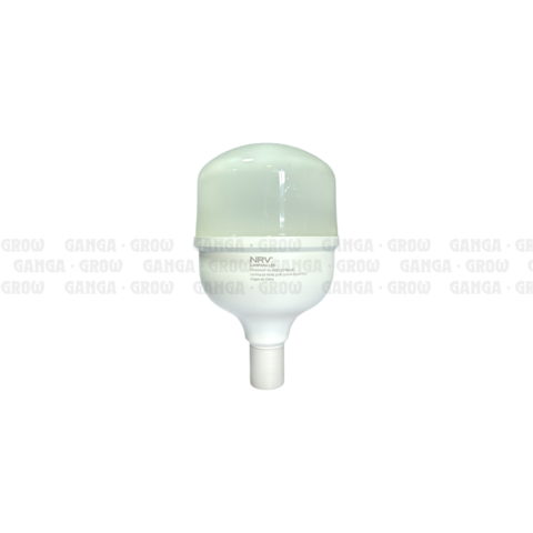 NRV - Lampara Led Galponera Blanco 50W