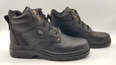 LAGO PUELO (1189) en internet