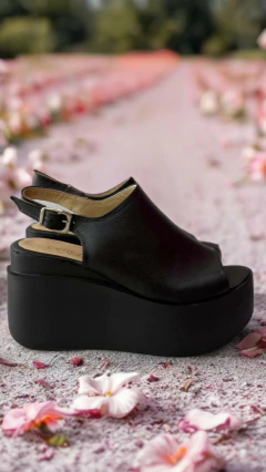 TOLHUIN (443) en internet