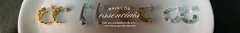 Banner da categoria BRINCOS ESSENCIAIS