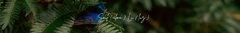 Banner da categoria Soul (alma) Lu (luz)