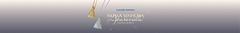 Banner da categoria Nossa Senhora Aparecida