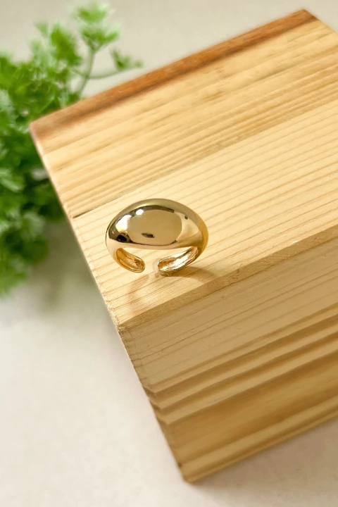 Anel Elsa Ajustável Orgânico Liso