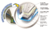 CUADERNO RIVADAVIA FORRADO ARAÑA T. DURA X 50 HJS. - comprar online