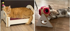 Banner de la categoría Gatos